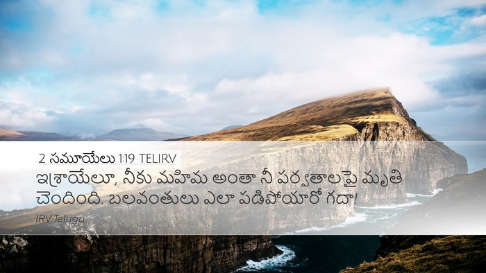2 సమూయేలు 1:19 TELIRV Bible Verse Image