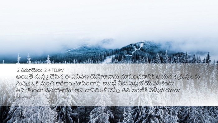 2 సమూయేలు 12:14 TELIRV Bible Verse Image