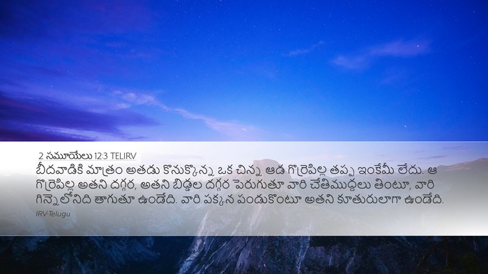 2 సమూయేలు 12:3 TELIRV Bible Verse Image