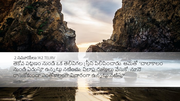 2 సమూయేలు 14:2 TELIRV Bible Verse Image
