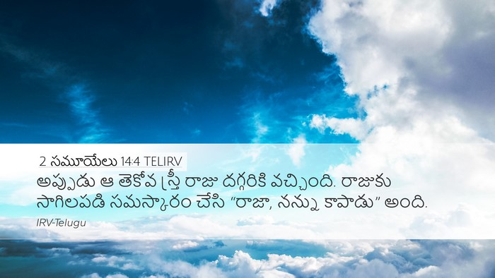 2 సమూయేలు 14:4 TELIRV Bible Verse Image
