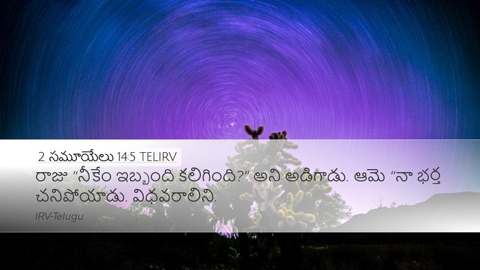 2 సమూయేలు 14:5 TELIRV Desktop Wallpaper - రాజు “నీకేం - Desktop Bible Verse Wallpaper