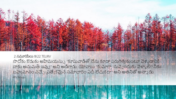 2 సమూయేలు 18:22 TELIRV Desktop Wallpaper - సాదోకు కొడుకు - Desktop Bible Verse Wallpaper