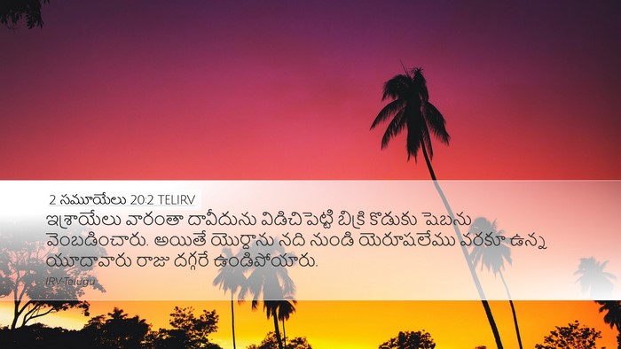 2 సమూయేలు 20:2 TELIRV Bible Verse Image