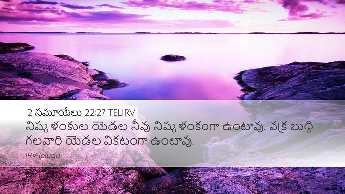 2 సమూయేలు 22:27 TELIRV Desktop Wallpaper - నిష్కళంకుల యెడల - Desktop Bible Verse Wallpaper