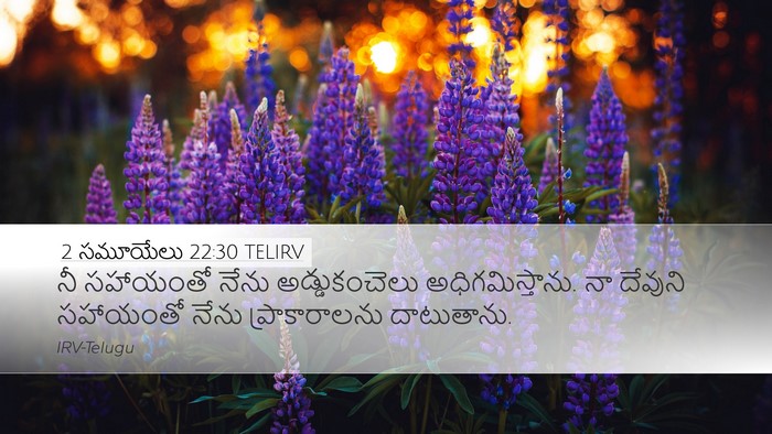 2 సమూయేలు 22:30 TELIRV Bible Verse Image