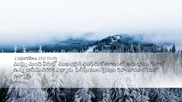 2 సమూయేలు 23:13 TELIRV Bible Verse Image