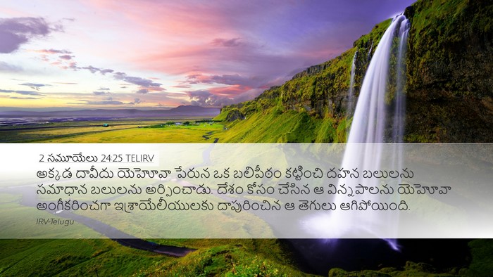 2 సమూయేలు 24:25 TELIRV Bible Verse Image