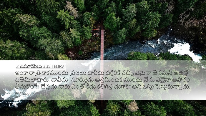 2 సమూయేలు 3:35 TELIRV Bible Verse Image