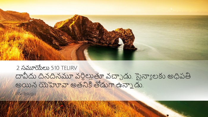 2 సమూయేలు 5:10 TELIRV Bible Verse Image