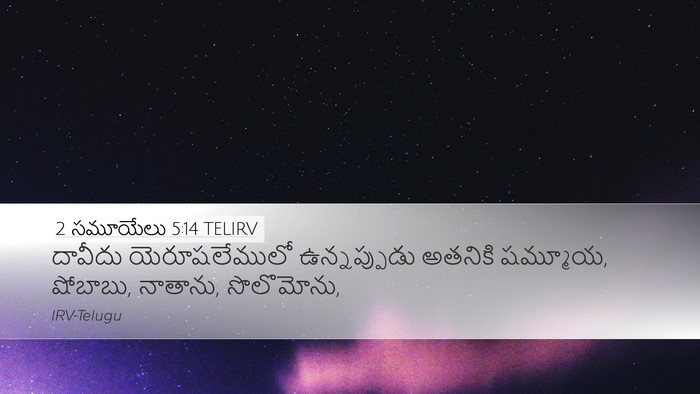 2 సమూయేలు 5:14 TELIRV Bible Verse Image