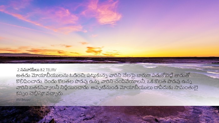 2 సమూయేలు 8:2 TELIRV Bible Verse Image