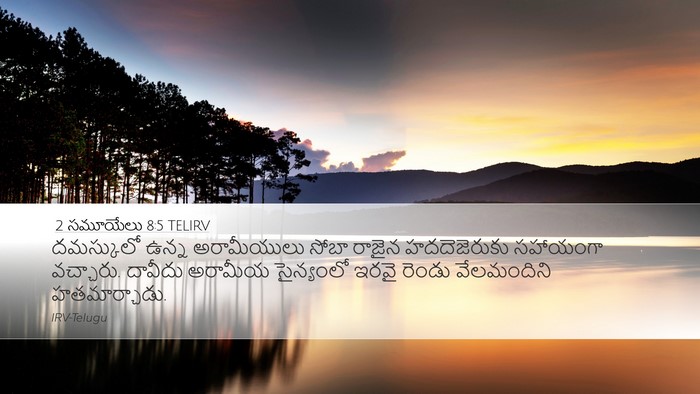 2 సమూయేలు 8:5 TELIRV Desktop Wallpaper - దమస్కులో ఉన్న - Desktop Bible Verse Wallpaper