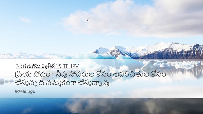 3 యోహాను పత్రిక 1:5 TELIRV Bible Verse Image