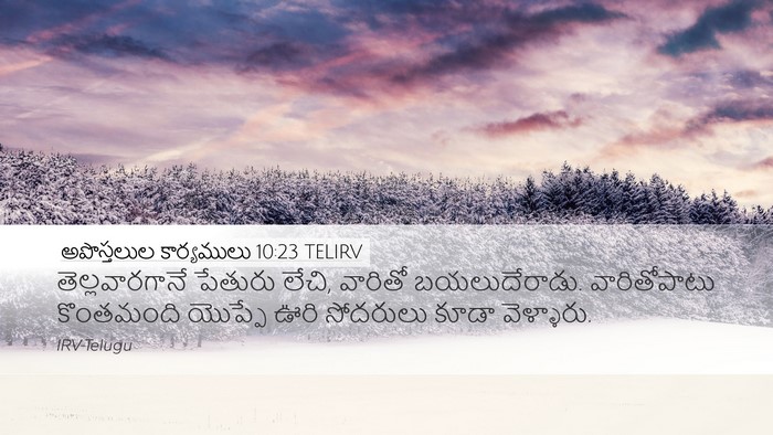 అపొస్తలుల కార్యములు 10:23 TELIRV Bible Verse Image
