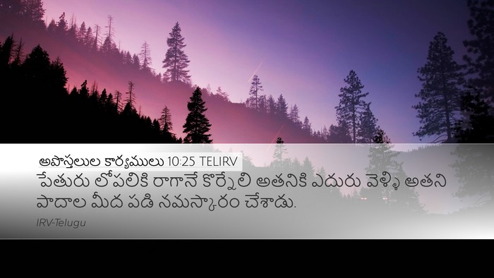 అపొస్తలుల కార్యములు 10:25 TELIRV Bible Verse Image