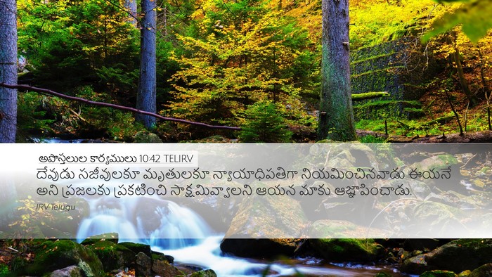 అపొస్తలుల కార్యములు 10:42 TELIRV Bible Verse Image