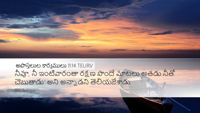 అపొస్తలుల కార్యములు 11:14 TELIRV Bible Verse Image