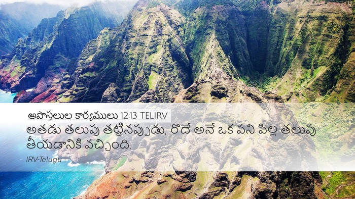 అపొస్తలుల కార్యములు 12:13 TELIRV Bible Verse Image