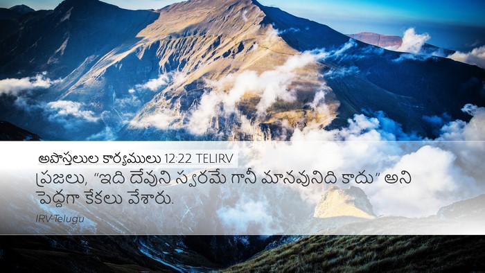 అపొస్తలుల కార్యములు 12:22 TELIRV Bible Verse Image