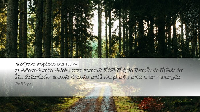 అపొస్తలుల కార్యములు 13:21 TELIRV Bible Verse Image