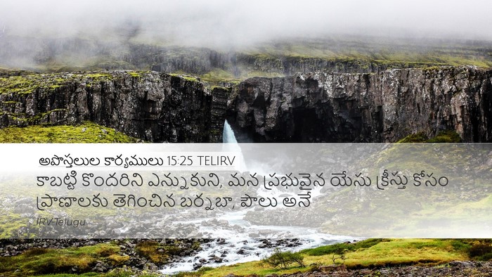 అపొస్తలుల కార్యములు 15:25 TELIRV Bible Verse Image