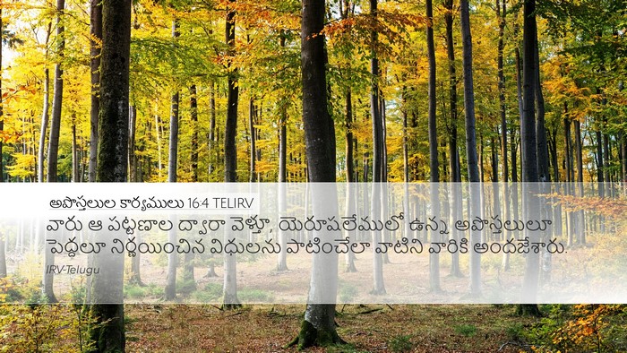 అపొస్తలుల కార్యములు 16:4 TELIRV Desktop Wallpaper - వారు ఆ పట్టణాల - Desktop Bible Verse Wallpaper