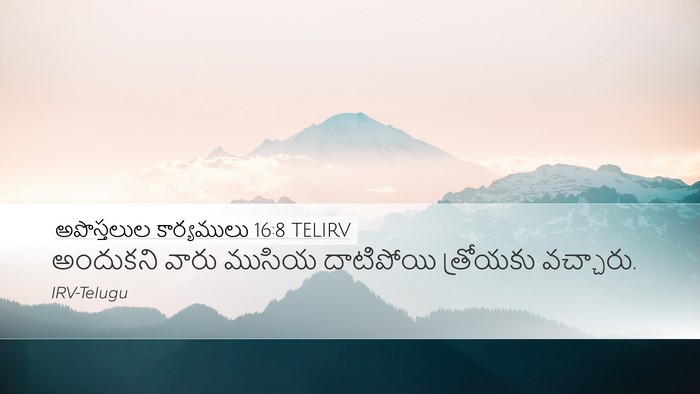అపొస్తలుల కార్యములు 16:8 TELIRV Bible Verse Image