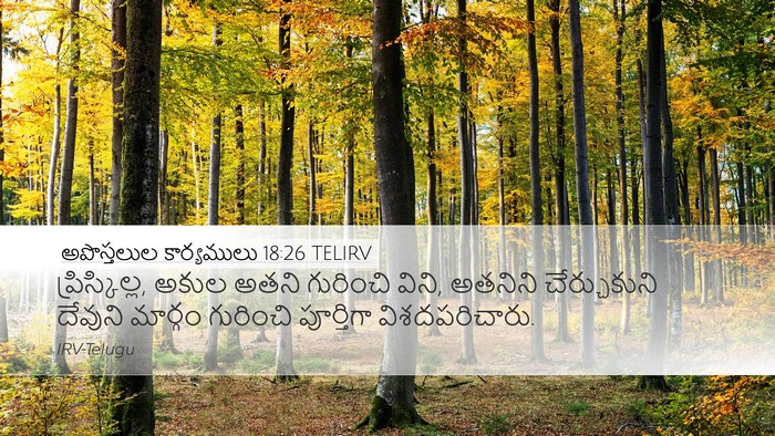 అపొస్తలుల కార్యములు 18:26 TELIRV Bible Verse Image