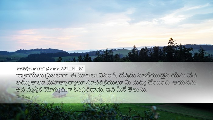 అపొస్తలుల కార్యములు 2:22 TELIRV Bible Verse Image