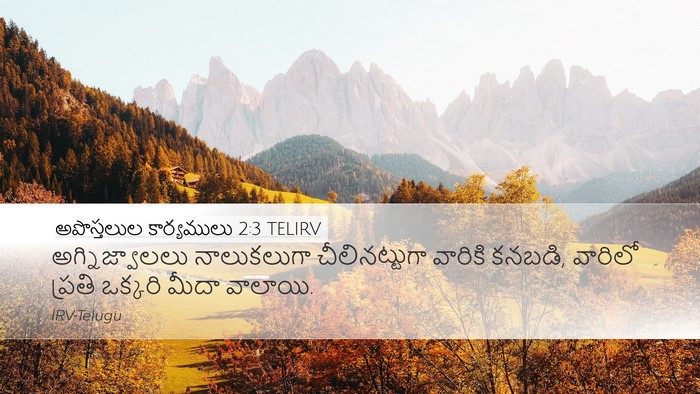 అపొస్తలుల కార్యములు 2:3 TELIRV Bible Verse Image