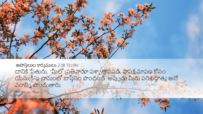 అపొస్తలుల కార్యములు 2:38 TELIRV Bible Verse Image