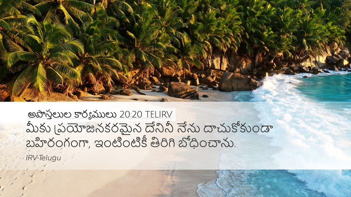 అపొస్తలుల కార్యములు 20:20 TELIRV Bible Verse Image