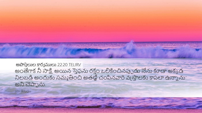అపొస్తలుల కార్యములు 22:20 TELIRV Bible Verse Image