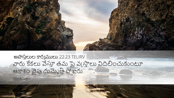 అపొస్తలుల కార్యములు 22:23 TELIRV Bible Verse Image