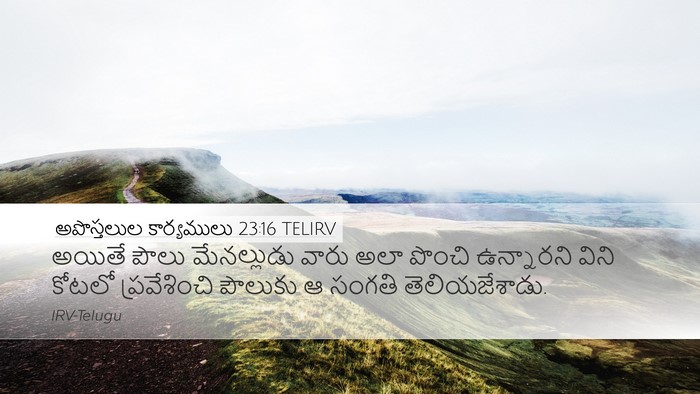 అపొస్తలుల కార్యములు 23:16 TELIRV Bible Verse Image