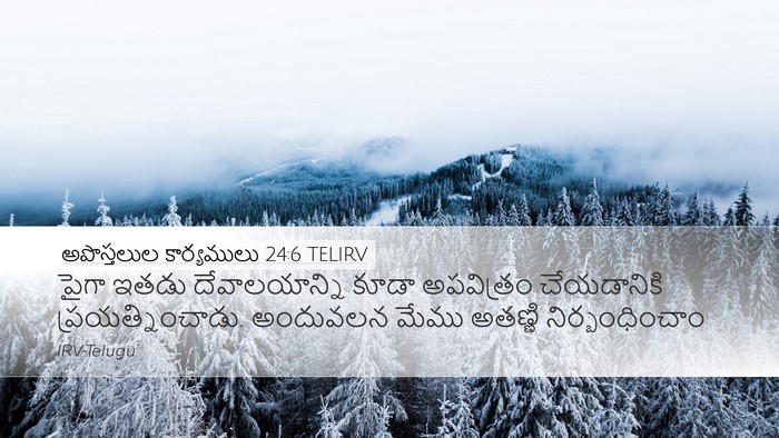 అపొస్తలుల కార్యములు 24:6 TELIRV Bible Verse Image