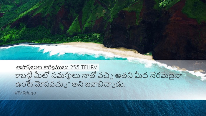 అపొస్తలుల కార్యములు 25:5 TELIRV Bible Verse Image