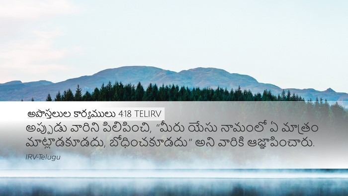 అపొస్తలుల కార్యములు 4:18 TELIRV Bible Verse Image
