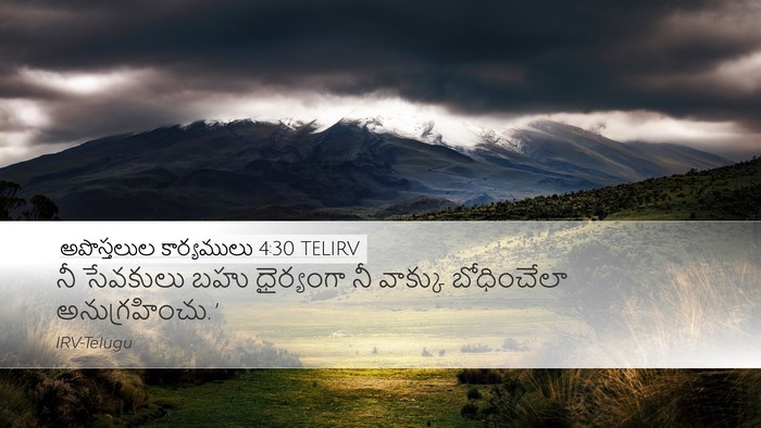 అపొస్తలుల కార్యములు 4:30 TELIRV Bible Verse Image