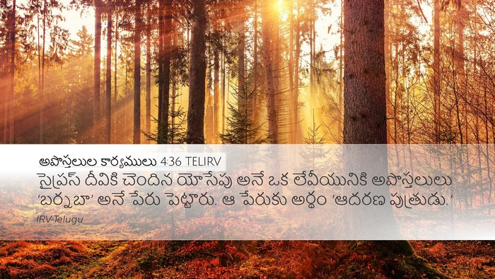 అపొస్తలుల కార్యములు 4:36 TELIRV Bible Verse Image