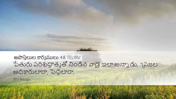 అపొస్తలుల కార్యములు 4:8 TELIRV Bible Verse Image