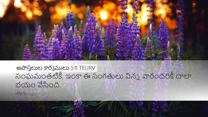 అపొస్తలుల కార్యములు 5:11 TELIRV Bible Verse Image