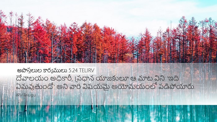 అపొస్తలుల కార్యములు 5:24 TELIRV Bible Verse Image