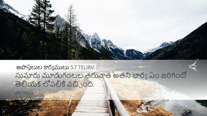 అపొస్తలుల కార్యములు 5:7 TELIRV Desktop Wallpaper - సుమారు మూడుగంటల - Desktop Bible Verse Wallpaper