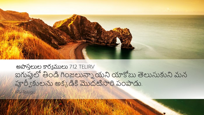 అపొస్తలుల కార్యములు 7:12 TELIRV Bible Verse Image