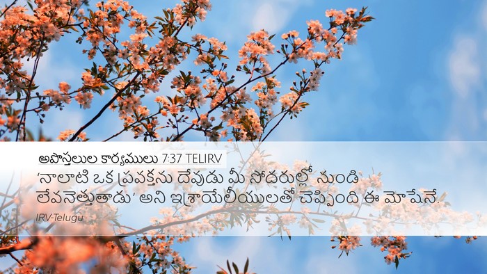 అపొస్తలుల కార్యములు 7:37 TELIRV Bible Verse Image