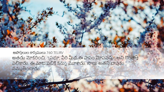 అపొస్తలుల కార్యములు 7:60 TELIRV Bible Verse Image