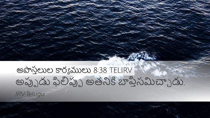 అపొస్తలుల కార్యములు 8:38 TELIRV Desktop Wallpaper - అప్పుడు ఫిలిప్పు - Desktop Bible Verse Wallpaper