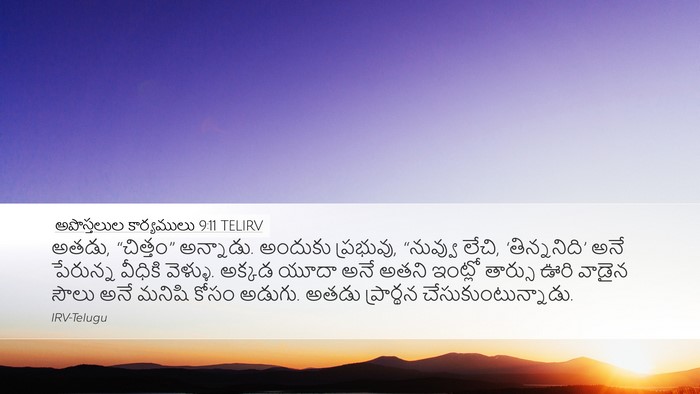 అపొస్తలుల కార్యములు 9:11 TELIRV Bible Verse Image